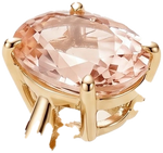 Asta crown morganite